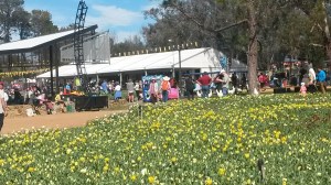 Floriade15